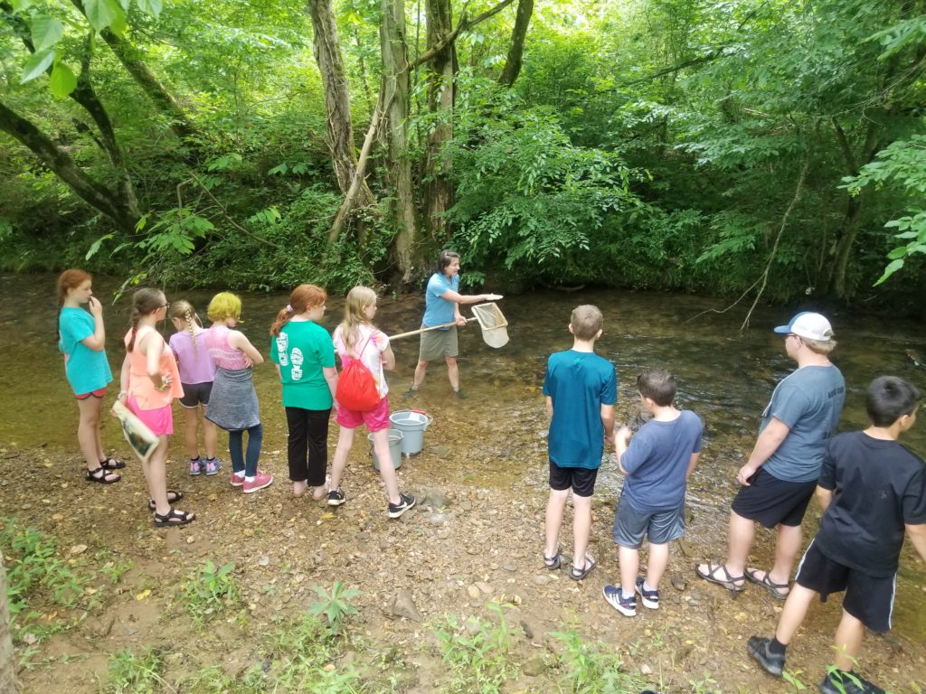 4-H Camps - Local and Regional | Polk County